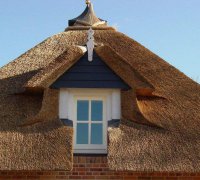 Камышовые крыши – возврат к материалам прошлого
